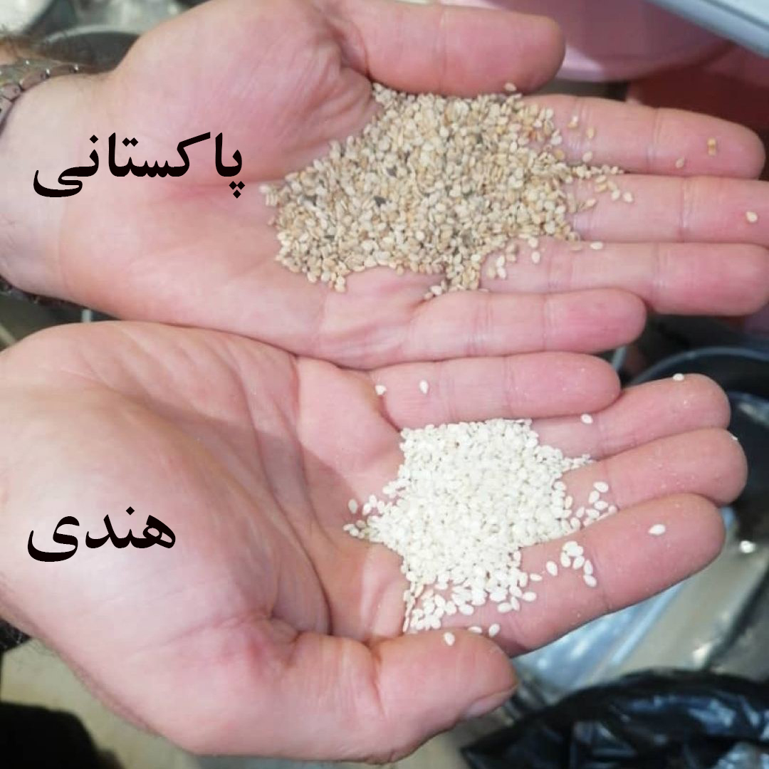 کنجد سفید پاکستانی 25 کیلویی (عمده)