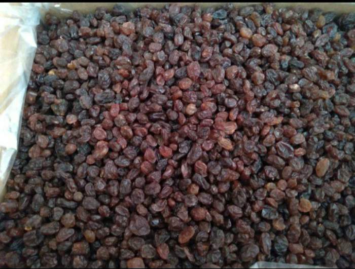 کشمش پلوئی 9 کیلوگرمی (عمده)