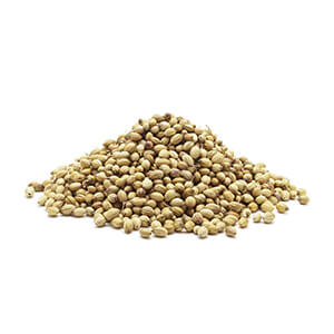 تخم گشنیز 10 کیلویی