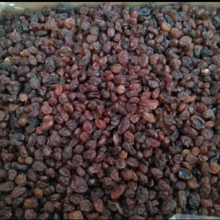 کشمش پلوئی 9 کیلوگرمی (عمده)