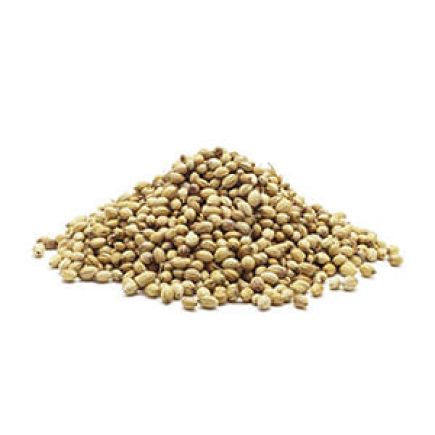 تخم گشنیز 10 کیلویی