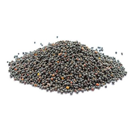 دانه کلزا شسته شده 25 کیلویی