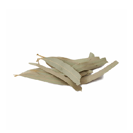  برگ اکالیپتوس 10 کیلویی (عمده)