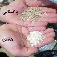 کنجد سفید پاکستانی 25 کیلویی (عمده)