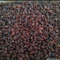 کشمش پلوئی 9 کیلوگرمی (عمده)