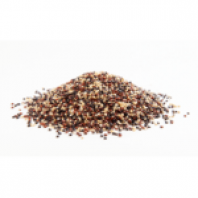 کینوا سه رنگ 25 کیلویی عمده